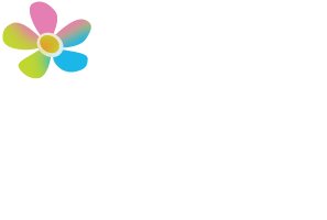 The Chiropractic Wellness Studio